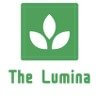 THE LUMINA