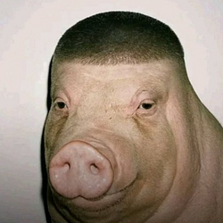 Wigger Pig